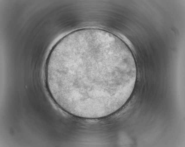 X0000111151144200907281127