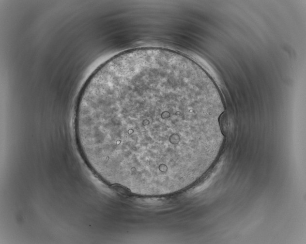 X0000111151149200907281127