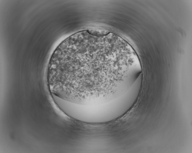 X0000111151152200907281127