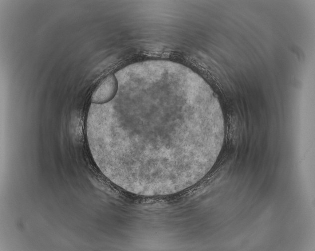 X0000111151154200907281126