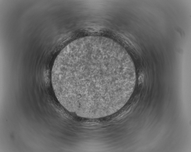 X0000111151156200907281126