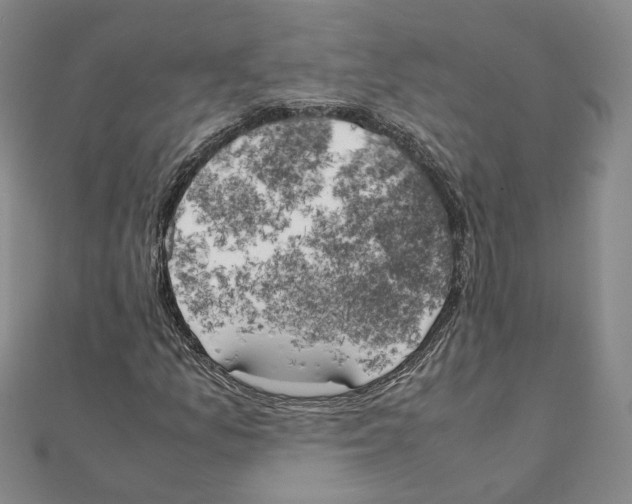 X0000111151157200907281126