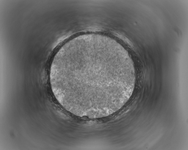 X0000111151160200907281126