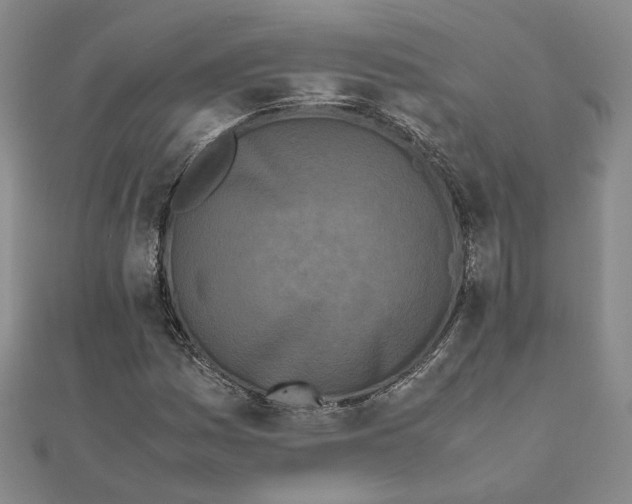 X0000111151161200907281126