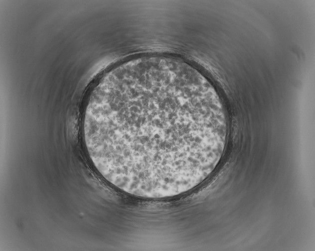 X0000111151163200907281126