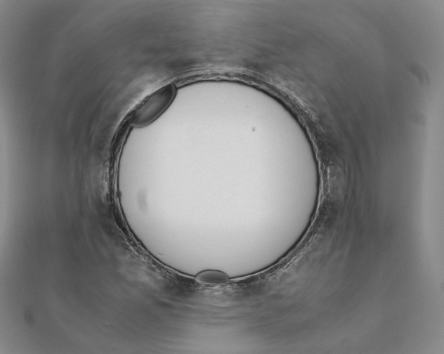 X0000111151165200907281126