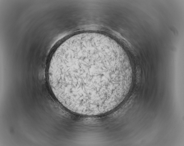 X0000111151166200907281126