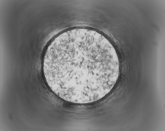 X0000111151167200907281126