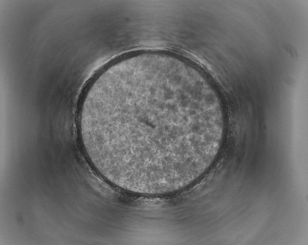 X0000111151168200907281126