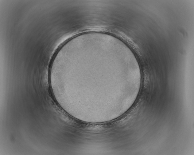 X0000111151174200907281126