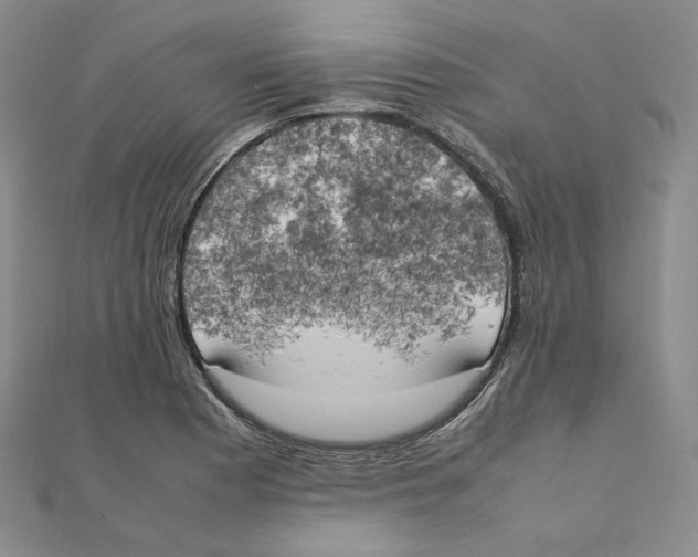 X0000111151177200907281126