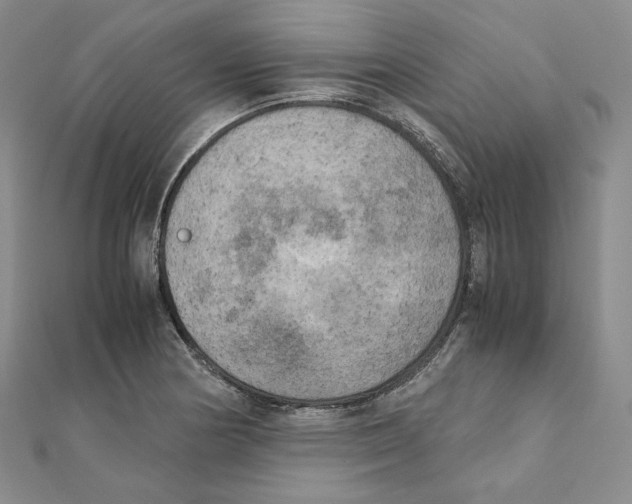 X0000111151178200907281126