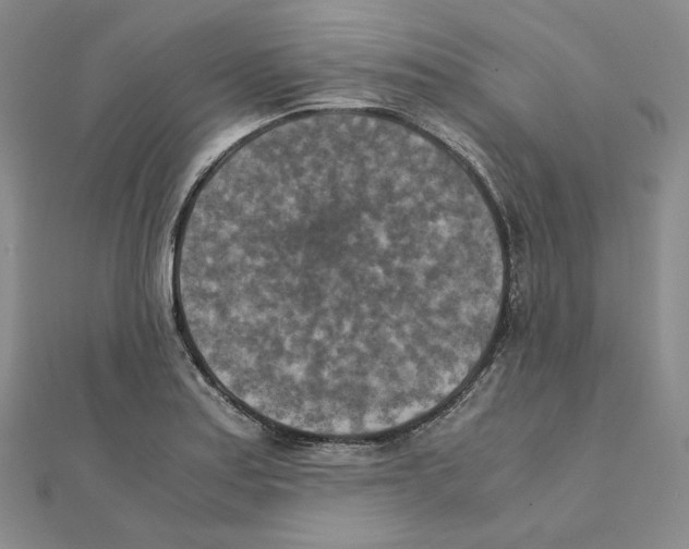 X0000111151179200907281126