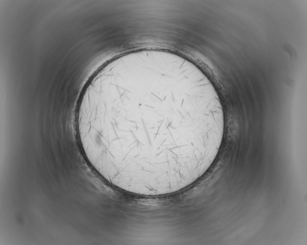 X0000111151182200907281126