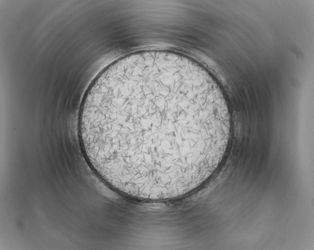 X0000111151186200907281126