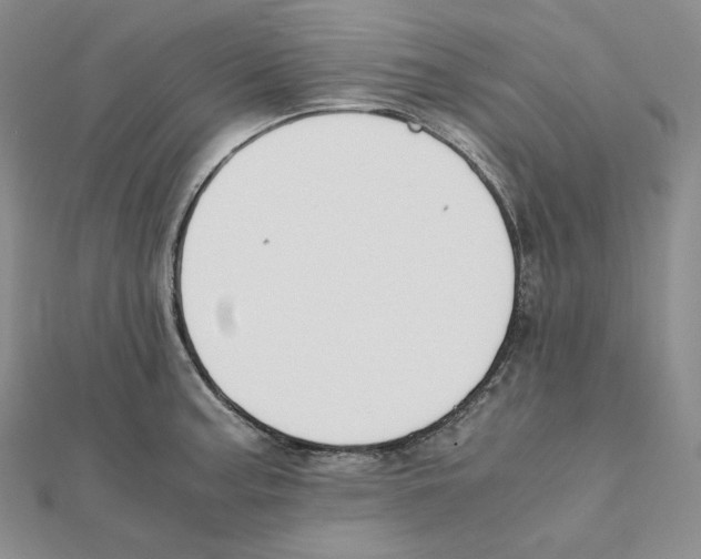 X0000111151187200907281126