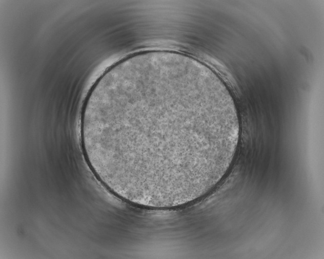 X0000111151188200907281126