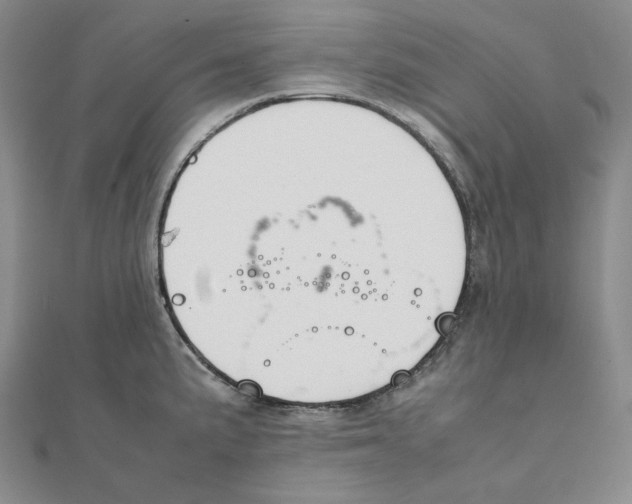 X0000111151191200907281126