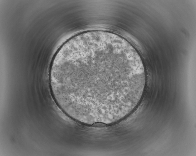 X0000111151192200907281126