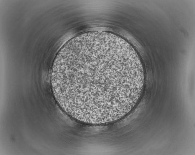 X0000111151193200907281126