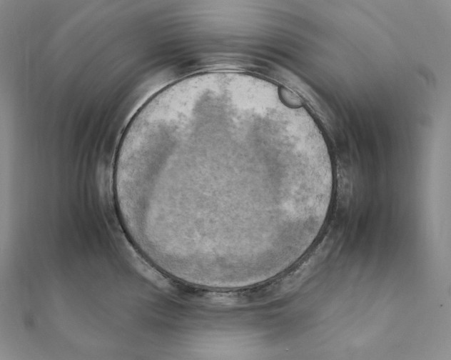 X0000111151194200907281126