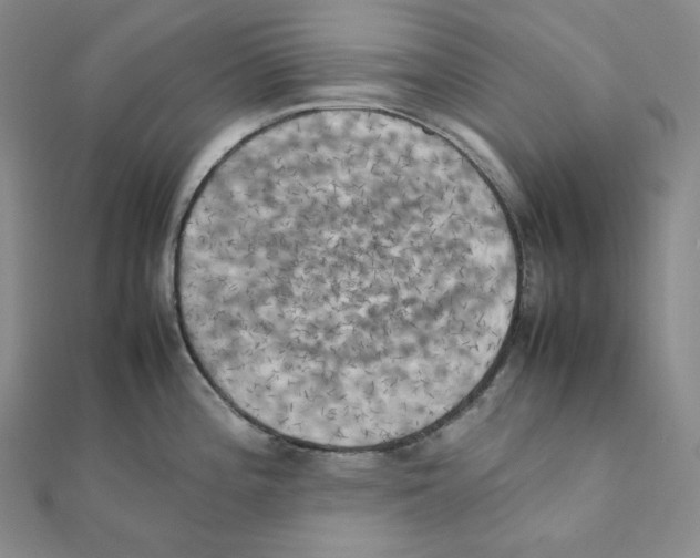 X0000111151196200907281126