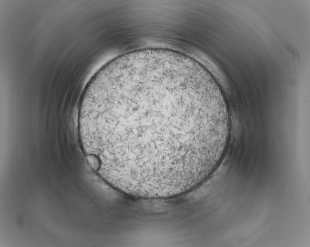 X0000111151198200907281126