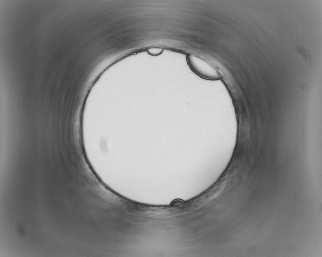 X0000111151199200907281126