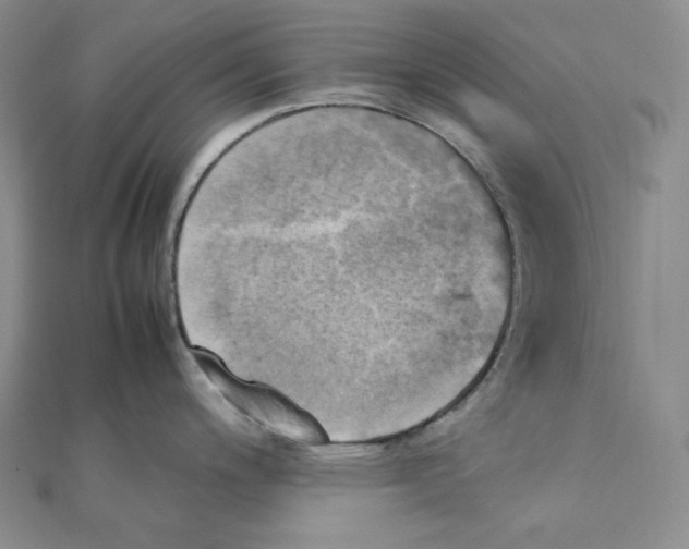 X0000111151200200907281126