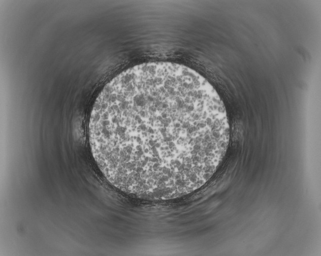 X0000111151202200907281125