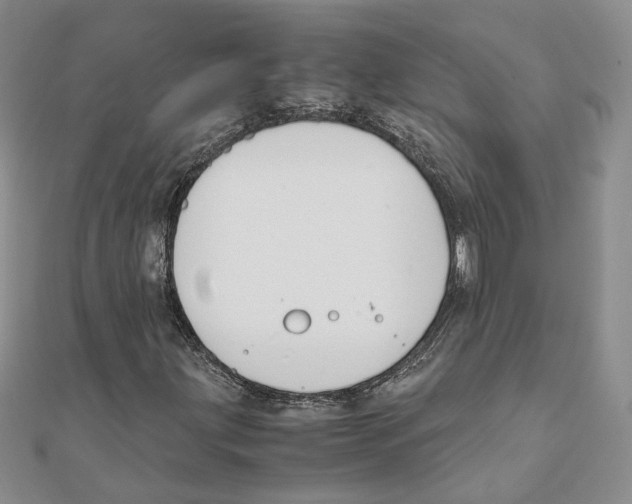 X0000111151203200907281125