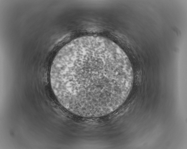 X0000111151205200907281125