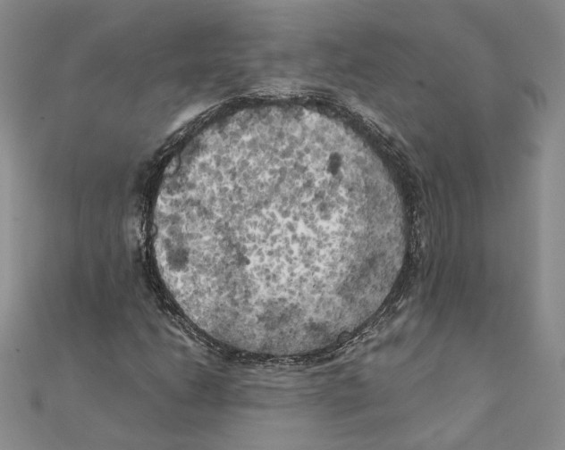 X0000111151206200907281125