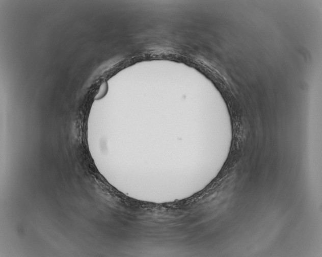 X0000111151207200907281125