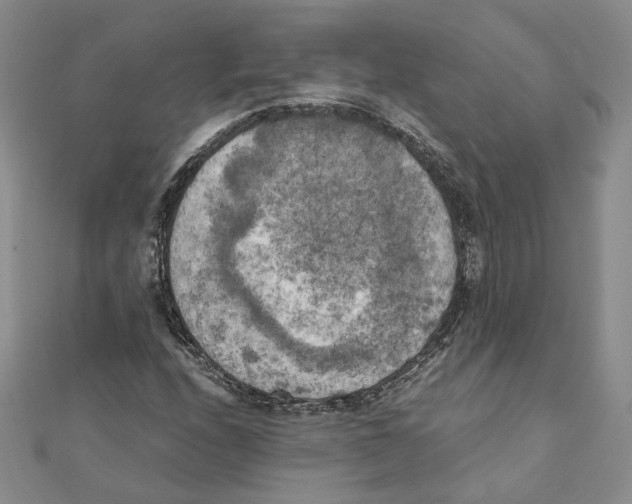 X0000111151208200907281125