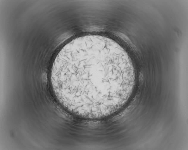 X0000111151209200907281125