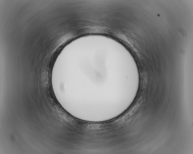 X0000111151211200907281125