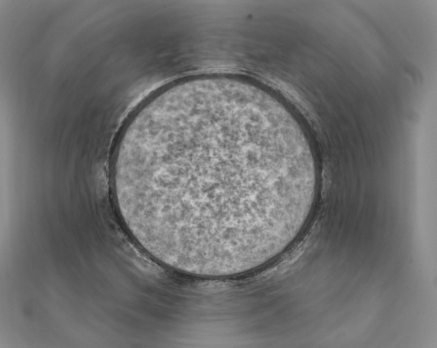 X0000111151212200907281125