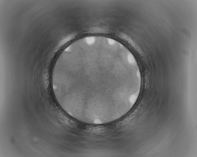 X0000111151213200907281125