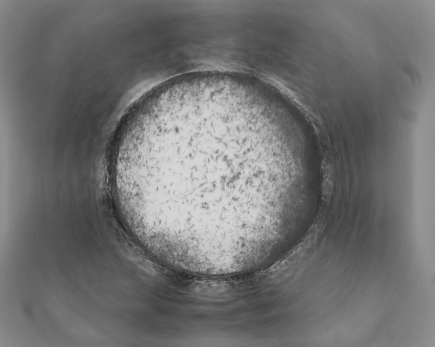 X0000111151215200907281125