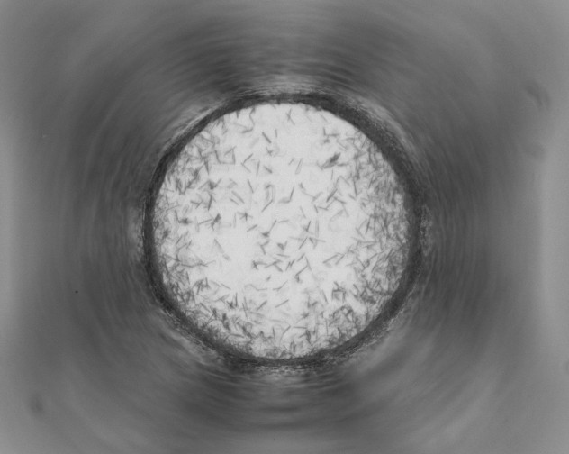 X0000111151217200907281125