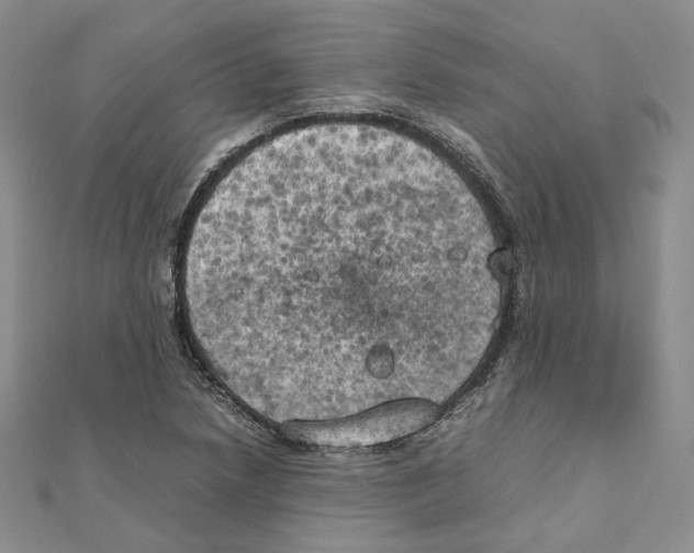 X0000111151218200907281125