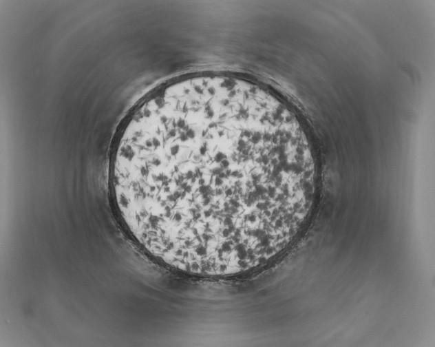 X0000111151220200907281125