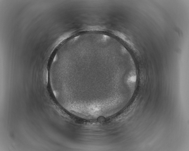 X0000111151221200907281125