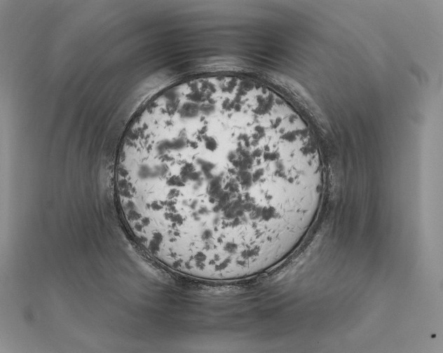 X0000111151225200907281125