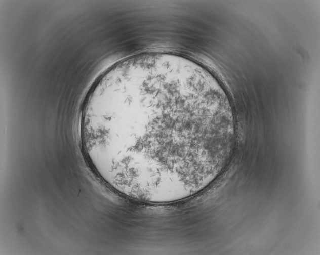 X0000111151227200907281125