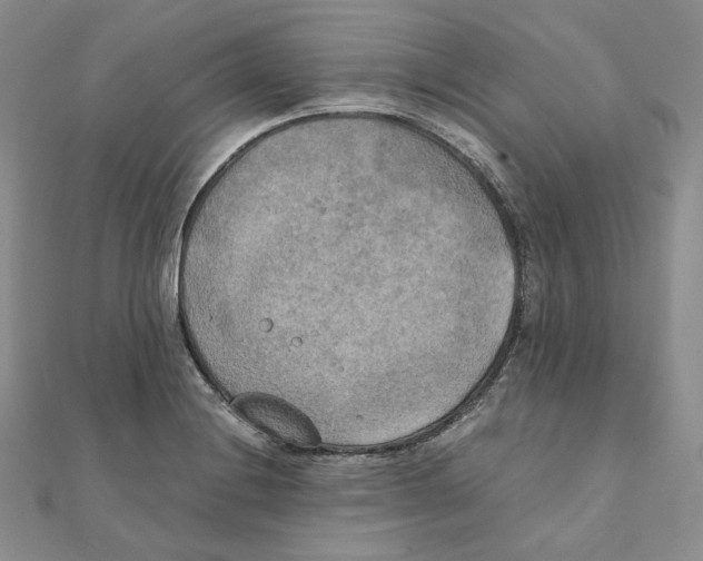 X0000111151228200907281125