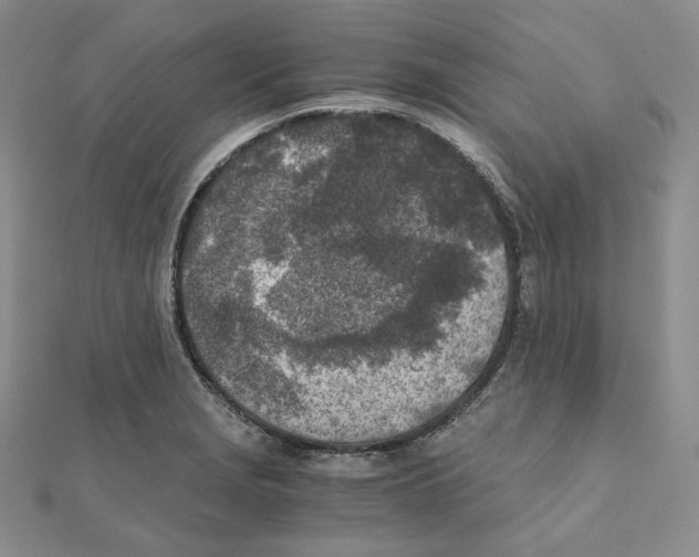 X0000111151229200907281125