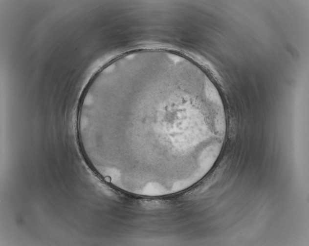 X0000111151231200907281125