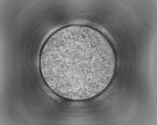 X0000111151232200907281125